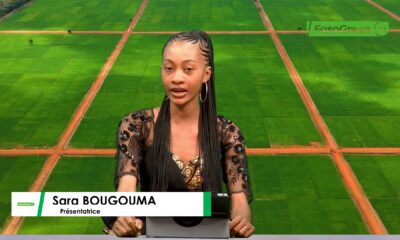 CAP JT 1 1 JT DU 18 AOÛT 2026 : Retrouvez le journal avec Sara BOUGOUMA