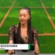 CAP JT 1 1 JT DU 18 AOÛT 2026 : Retrouvez le journal avec Sara BOUGOUMA