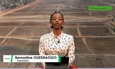 CAP JT 3 JT DU 13 AOÛT 2026: Retrouvez le journal de 18h 45 avec Bernadine OUÉDRAOGO