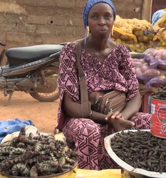 Gastronomie : Les chenilles de karité conquièrent peu à peu Ouagadougou