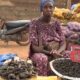 Gastronomie : Les chenilles de karité conquièrent peu à peu Ouagadougou