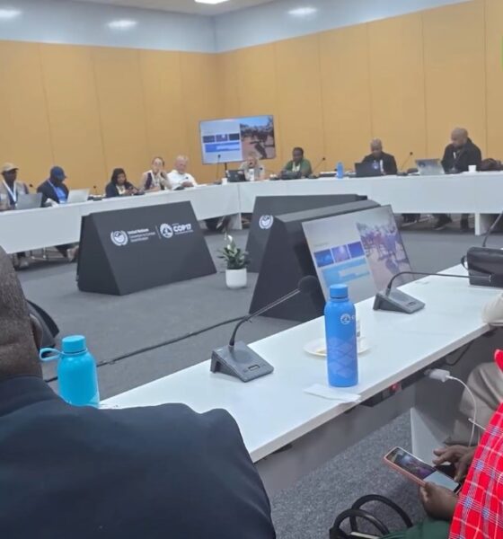 COP17 sur la désertification : la lutte contre la dégradation des terres au cœur des échanges
