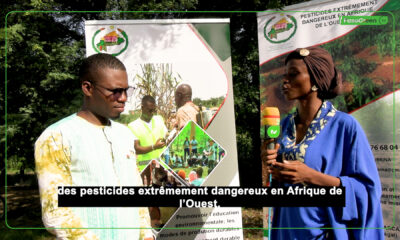 MVI 0074.00 00 52 45.Still001 (mooré) Ce que vous devez savoir sur l'utilisation des pesticides extrêmement dangereux