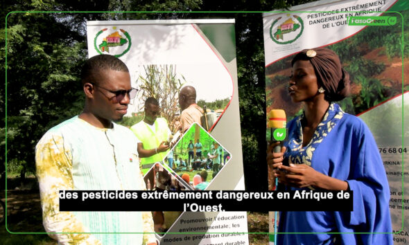 MVI 0074.00 00 52 45.Still001 (mooré) Ce que vous devez savoir sur l'utilisation des pesticides extrêmement dangereux