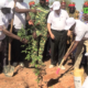 vlcsnap 2026 08 03 18h00m21s080 Reboisement : Le Groupe HAGE met en terre 300 plants