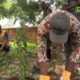 CAP 1 MOORE Centre Médical Urbain Gounghin 6 : Le Lions Clubs Ouagadougou Zoodo met en terre 75 plants