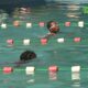 CAP 2 5 Natation : La 2ᵉ édition de la compétition AMNSB Wékré consacre les jeunes talents
