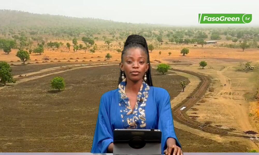 CAP JT 1 5 JT MOORÉ DU 25 SEPTEMBRE 2026 : Retrouvez le journal avec Bernadine OUÉDRAOGO
