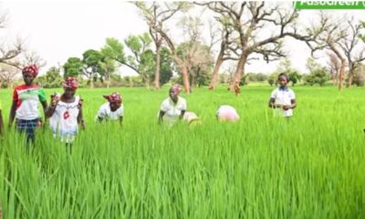 MOORE 1 Suivi de la campagne agropastorale 2026-2027 : Le Ministre d'Etat Ismaël SOMBIÉ à Kouliniéré