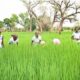 MOORE 1 Suivi de la campagne agropastorale 2026-2027 : Le Ministre d'Etat Ismaël SOMBIÉ à Kouliniéré