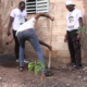 cap 1 1 Bobo-Dioulasso : La jeunesse panse les plaies de Mère Nature