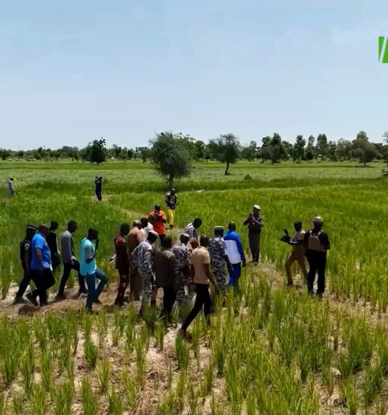 cap breve (mooré)Campagne agro-pastorale 2026-2027 : Le Ministre d'État Ismaël SOMBIÉ sur le terrain