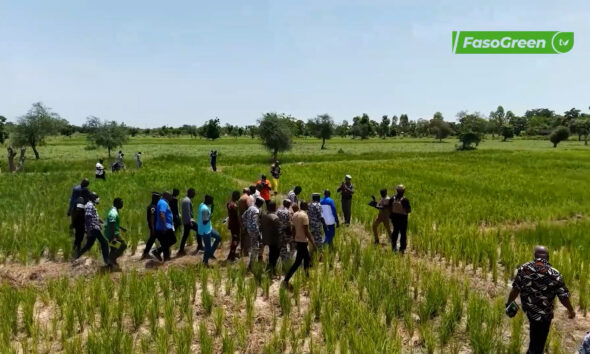 cap breve Suivi de la campagne agropastorale 2026-2027 : Le Ministre d’État Ismaël SOMBIÉ à Bagré