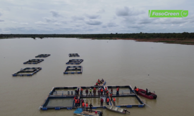 vlcsnap 2026 09 22 09h31m33s468 Pô : L'aquaculture passe au niveau supérieur avec l'introduction du pangasius au barrage