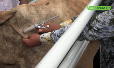 vlcsnap 2026 09 22 09h44m22s024 Burkina Faso : La révolution du monde pastoral enclenchée depuis Kombissiri