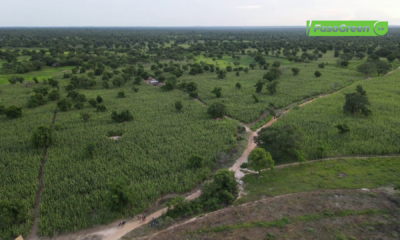 vlcsnap 2026 09 22 10h33m22s715 Pô : La campagne agro-pastorale au rendez-vous