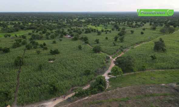 vlcsnap 2026 09 22 10h33m22s715 Pô : La campagne agro-pastorale au rendez-vous