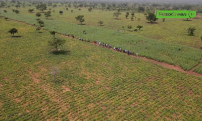 CAP 003 1 Campagne agropastorale 2026-2027 : Le ministre d'État Ismaël SOMBIÉ visite les exploitations dans le Guiriko