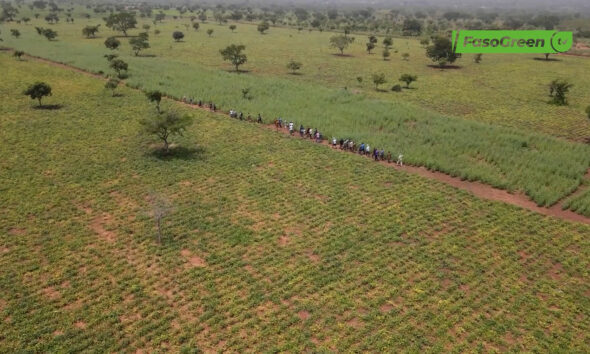 CAP 003 1 Campagne agropastorale 2026-2027 : Le ministre d'État Ismaël SOMBIÉ visite les exploitations dans le Guiriko
