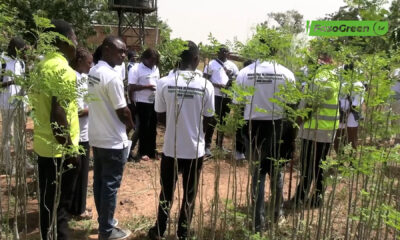 CAP 1 2 Pratiques agro écologiques: Le REJAE envoie une quarantaine de jeunes à l’école de Colibri Agro