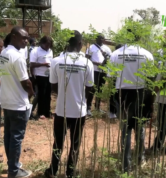 CAP 1 2 Pratiques agro écologiques: Le REJAE envoie une quarantaine de jeunes à l’école de Colibri Agro