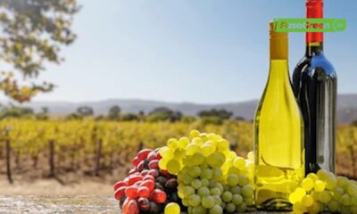 SOVIB : Le Burkina Faso mise sur la transformation des produits locaux
