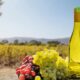 SOVIB : Le Burkina Faso mise sur la transformation des produits locaux