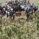 CAP 2 MOORE 750 forages pour soutenir la production agricole : Qui sont les bénéficiaires