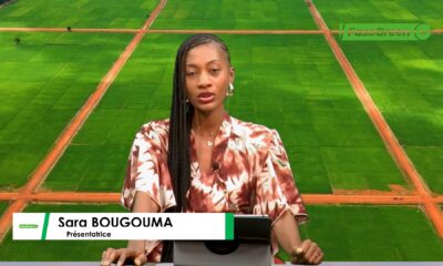 CAP JT 3 JT DU 27 OCTOBRE 2026 : Retrouvez le journal avec Sara BOUGOUMA