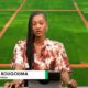 CAP JT 3 JT DU 27 OCTOBRE 2026 : Retrouvez le journal avec Sara BOUGOUMA