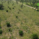 cap 0001 Campagne agropastorale 2026-2027 : Plus de 500000 tonnes de céréales attendues dans les Tannounyan