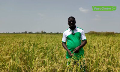 cap 0002 1 Offensive agro-pastorale,hydraulique et halieutique :Abel YERBANGA accompagne la production rizicole à Dourou