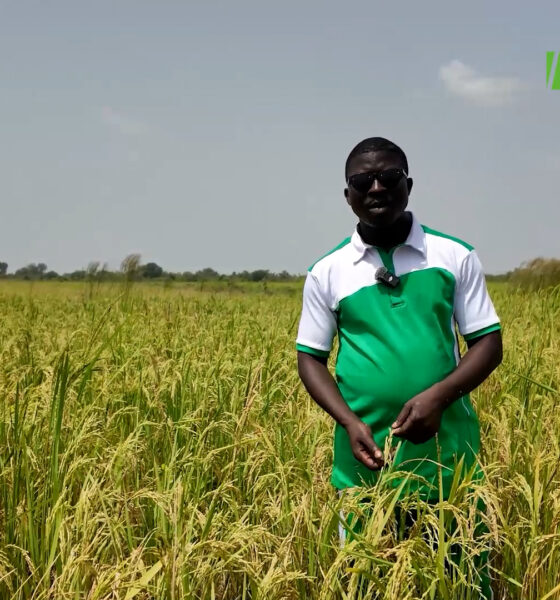 cap 0002 1 Offensive agro-pastorale,hydraulique et halieutique :Abel YERBANGA accompagne la production rizicole à Dourou