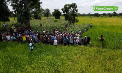 cap Langue nationale #mooré: Les récoltes s'annoncent positives dans le Djôrô