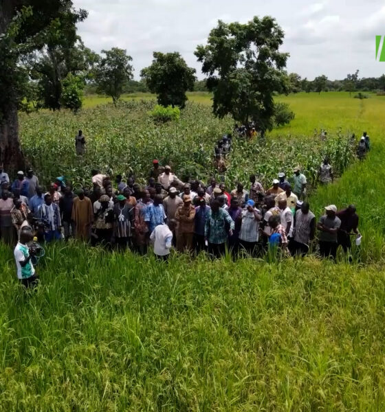 cap Campagne agro-pastorale 2026-2027 : Les récoltes s'annoncent positives dans le Djôrô