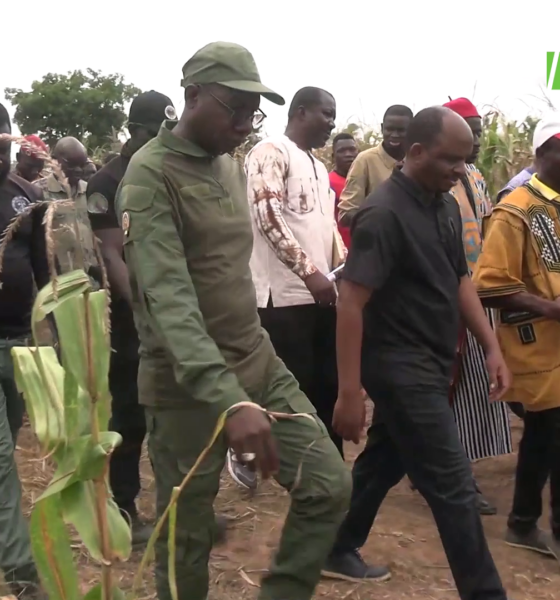 vlcsnap 2026 10 05 17h33m22s923 1 Campagne agropastorale 2026-2027: Les productions se présentent bien dans le Nando